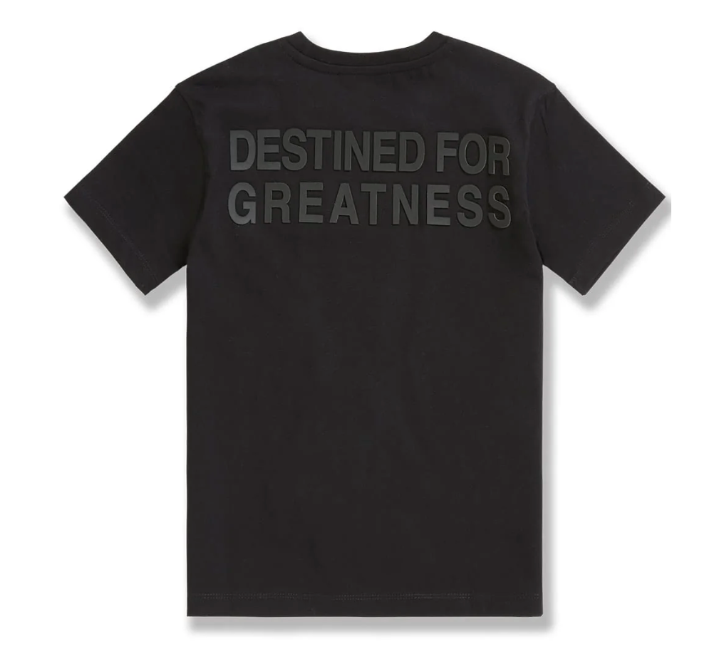 Kids Destined For Greatness Tees - Multiple Colors