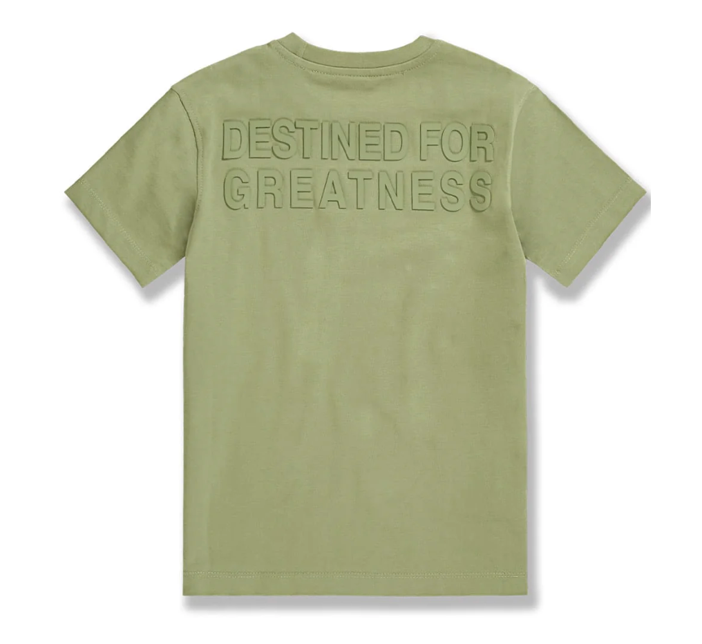 Kids Destined For Greatness Tees - Multiple Colors