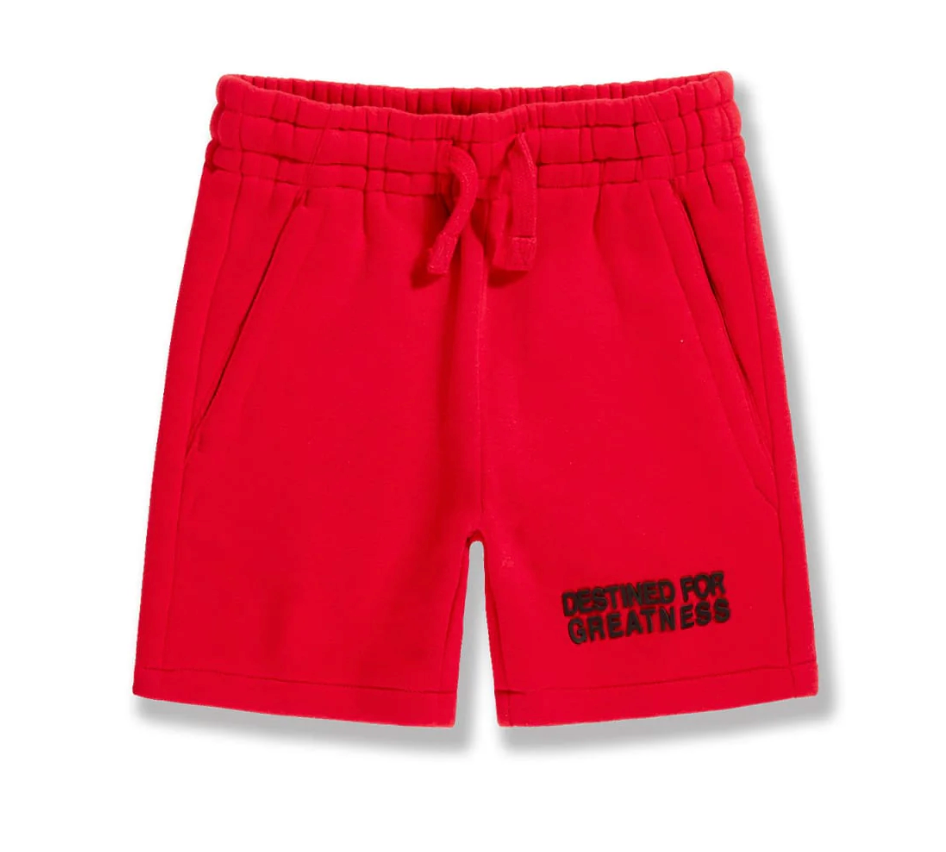 Kids Destined For Greatness Shorts - Multiple Colors