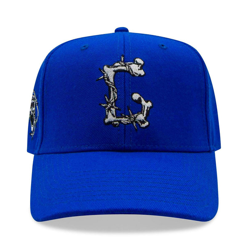 Barbed Wire Trucker - multiple colors