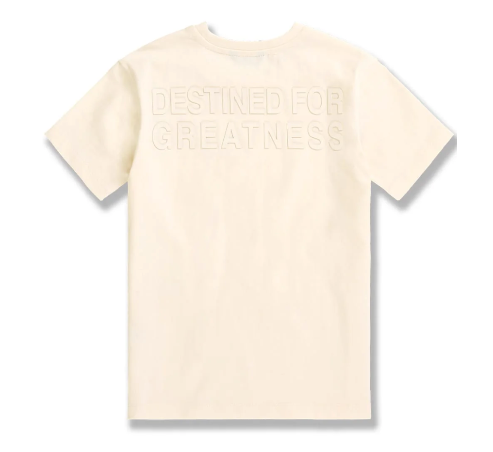 Kids Destined For Greatness Tees - Multiple Colors