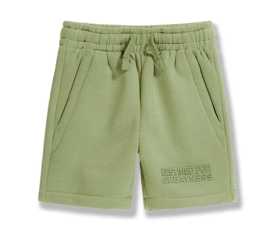 Kids Destined For Greatness Shorts - Multiple Colors